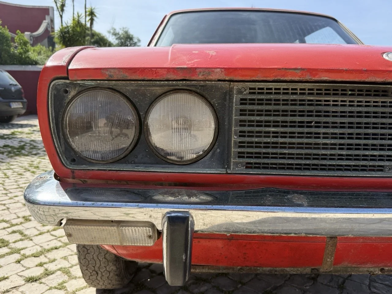 IMG_2355 – grande.jpeg