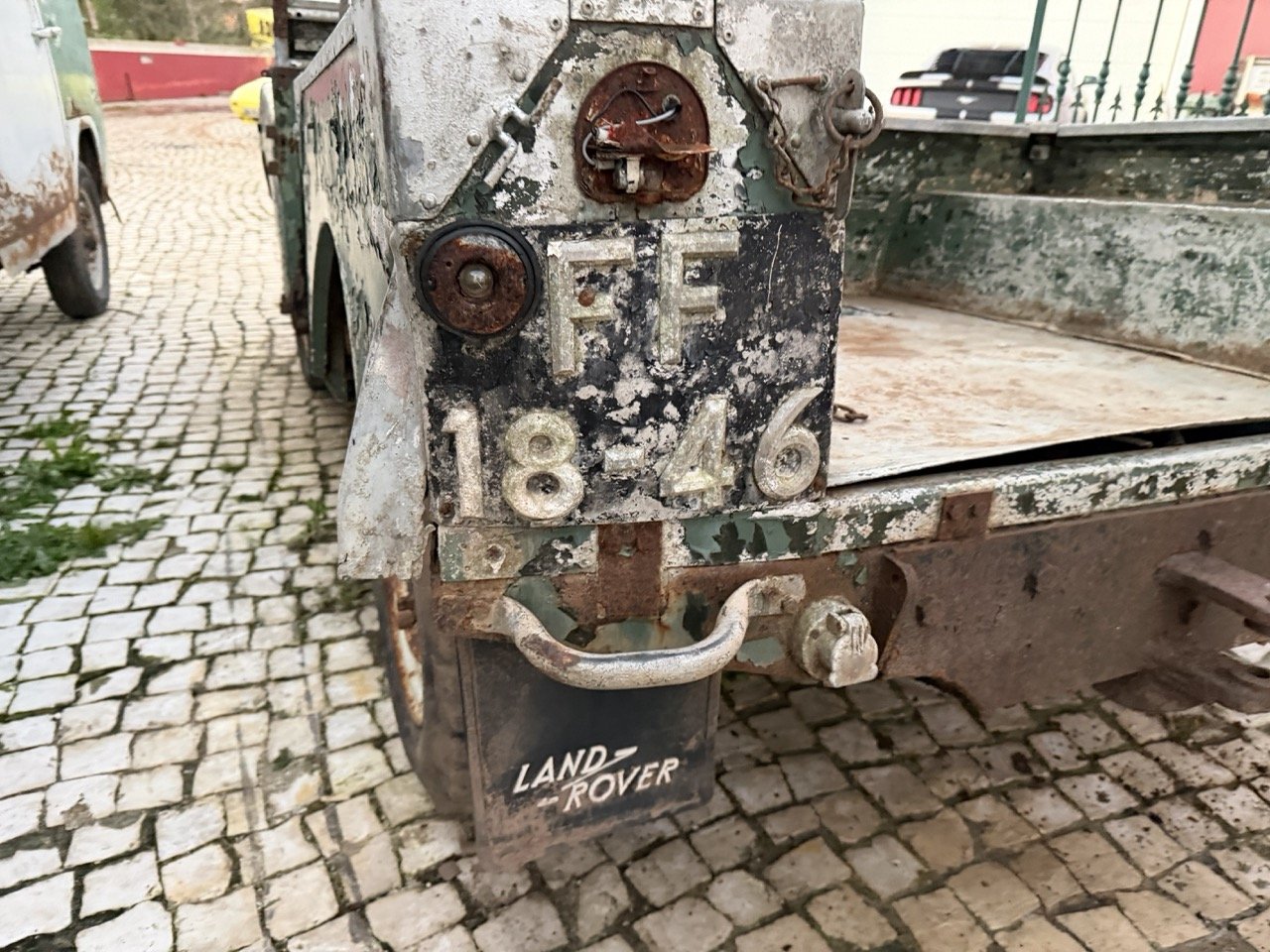 IMG_7464 – grande.jpeg