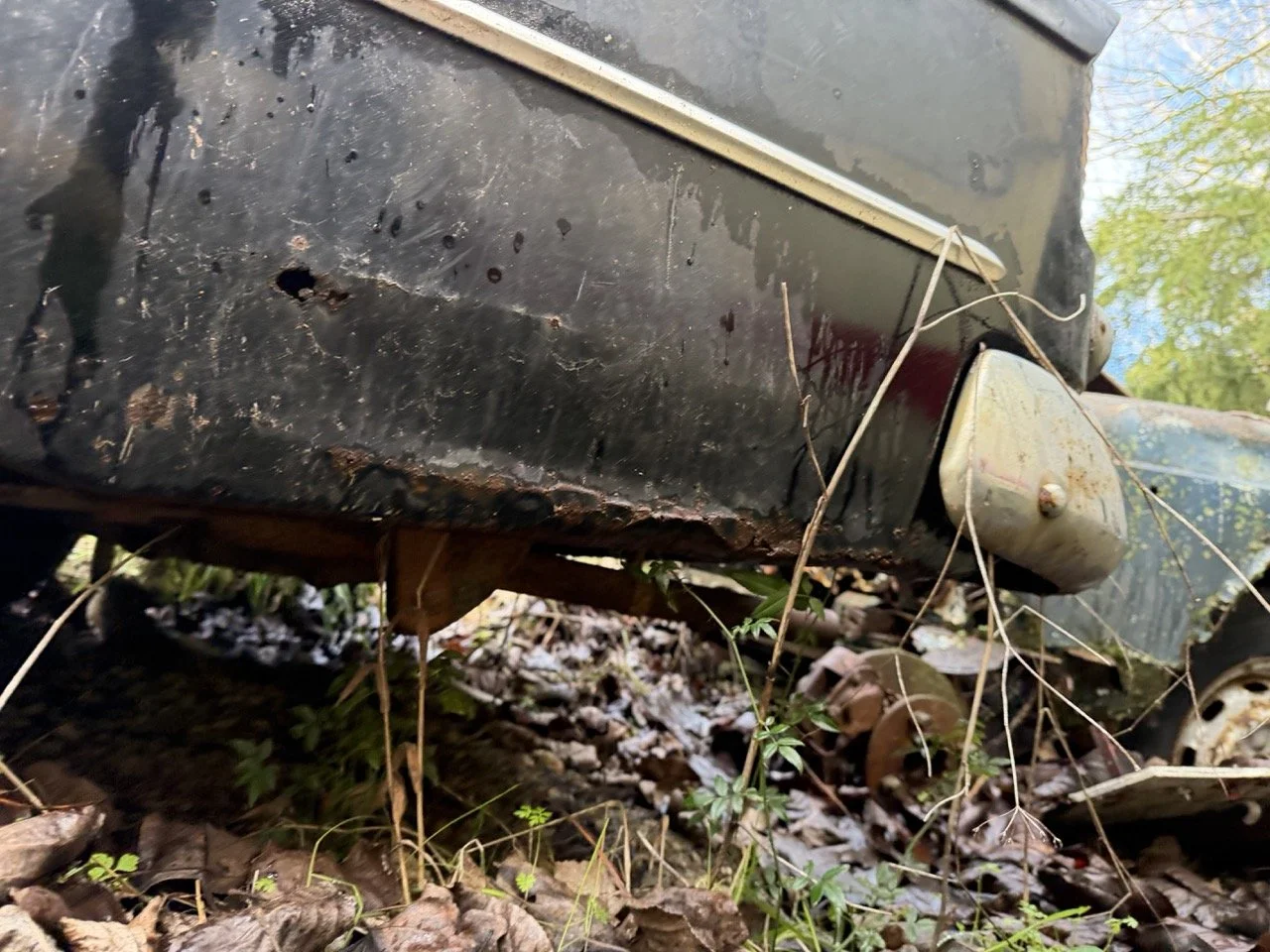 IMG_5072 – grande.jpeg