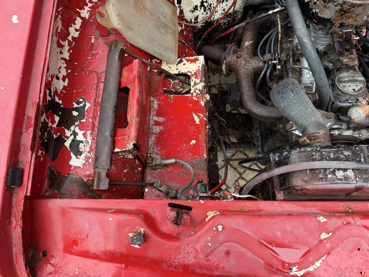 IMG_9677 – grande.jpeg