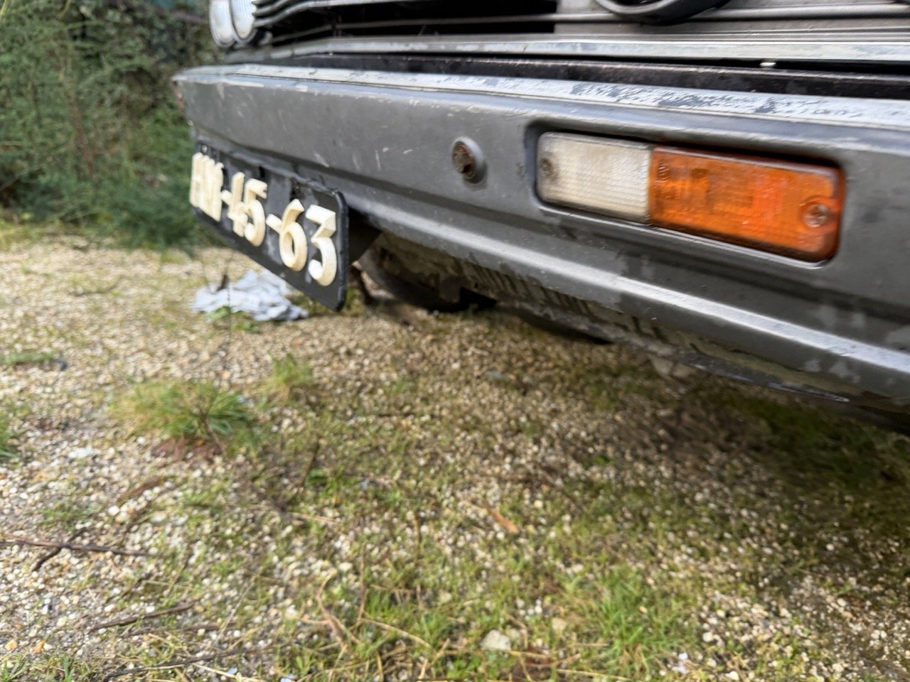 IMG_5256 – grande.jpeg