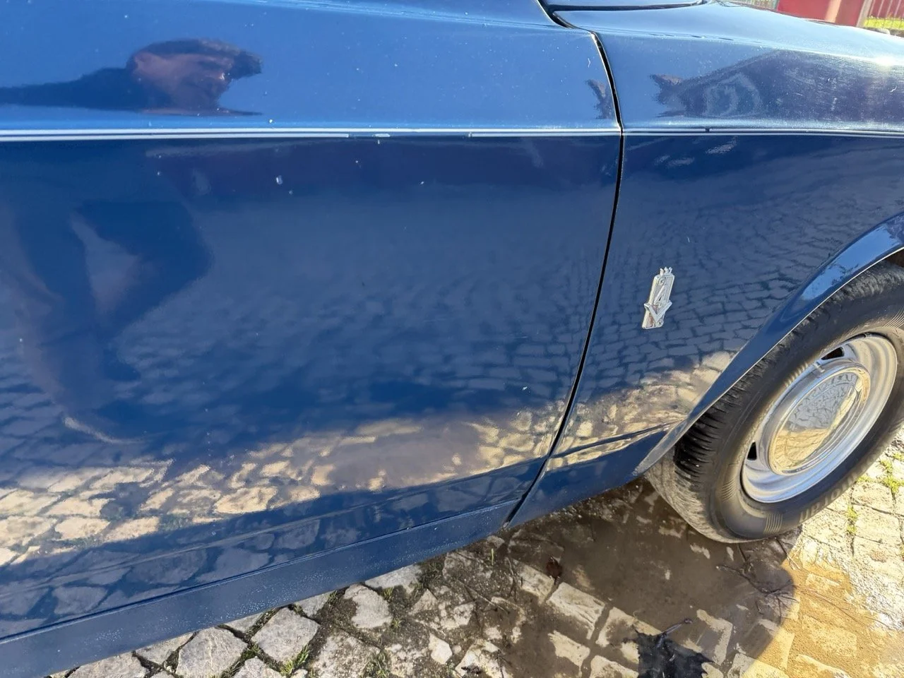 IMG_1889 – grande.jpeg