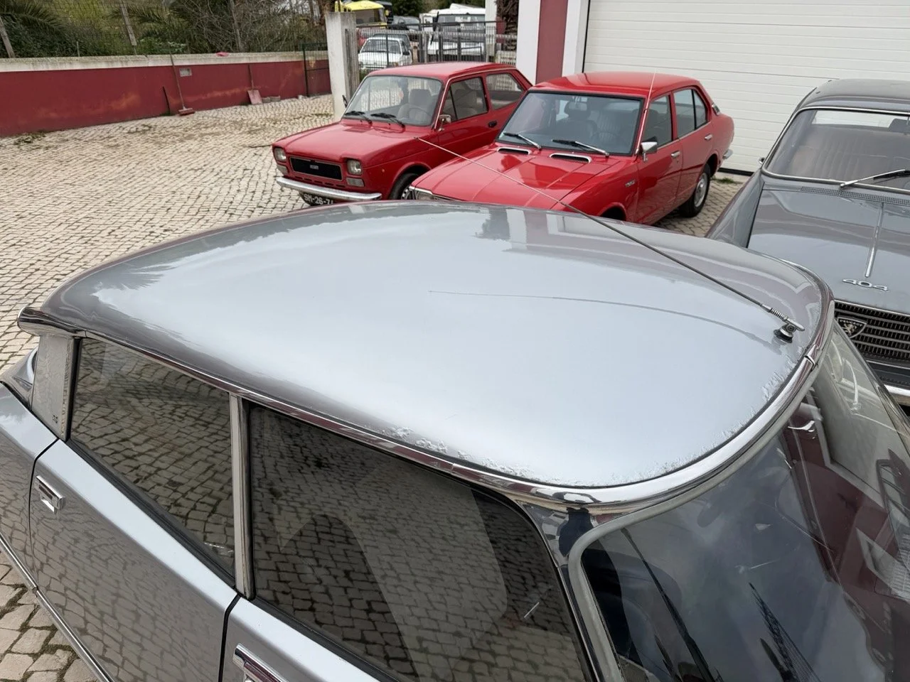 IMG_3790 – grande.jpeg