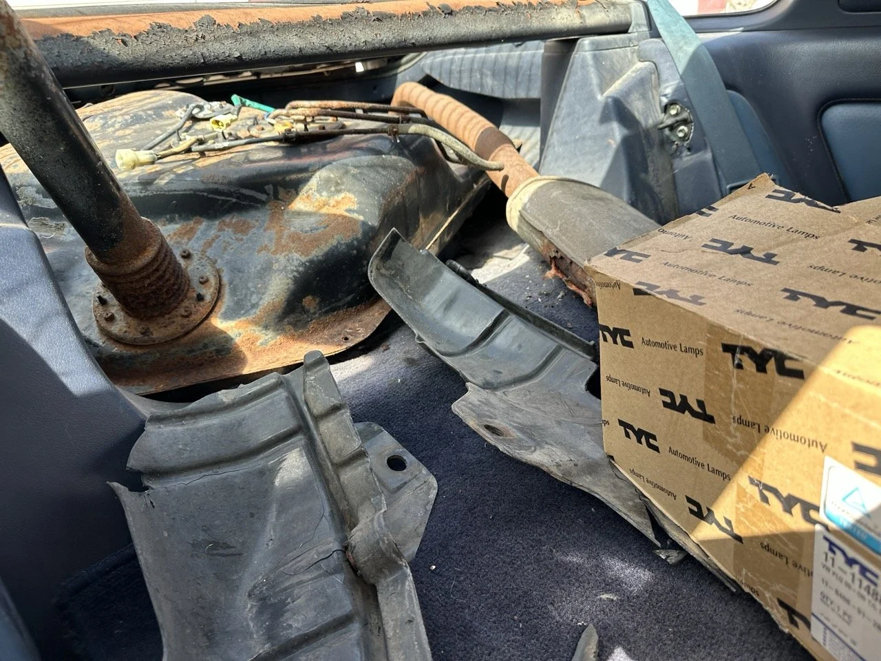 IMG_7188 – grande.jpeg