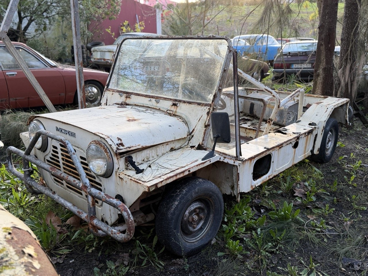 IMG_0872 – grande.jpeg