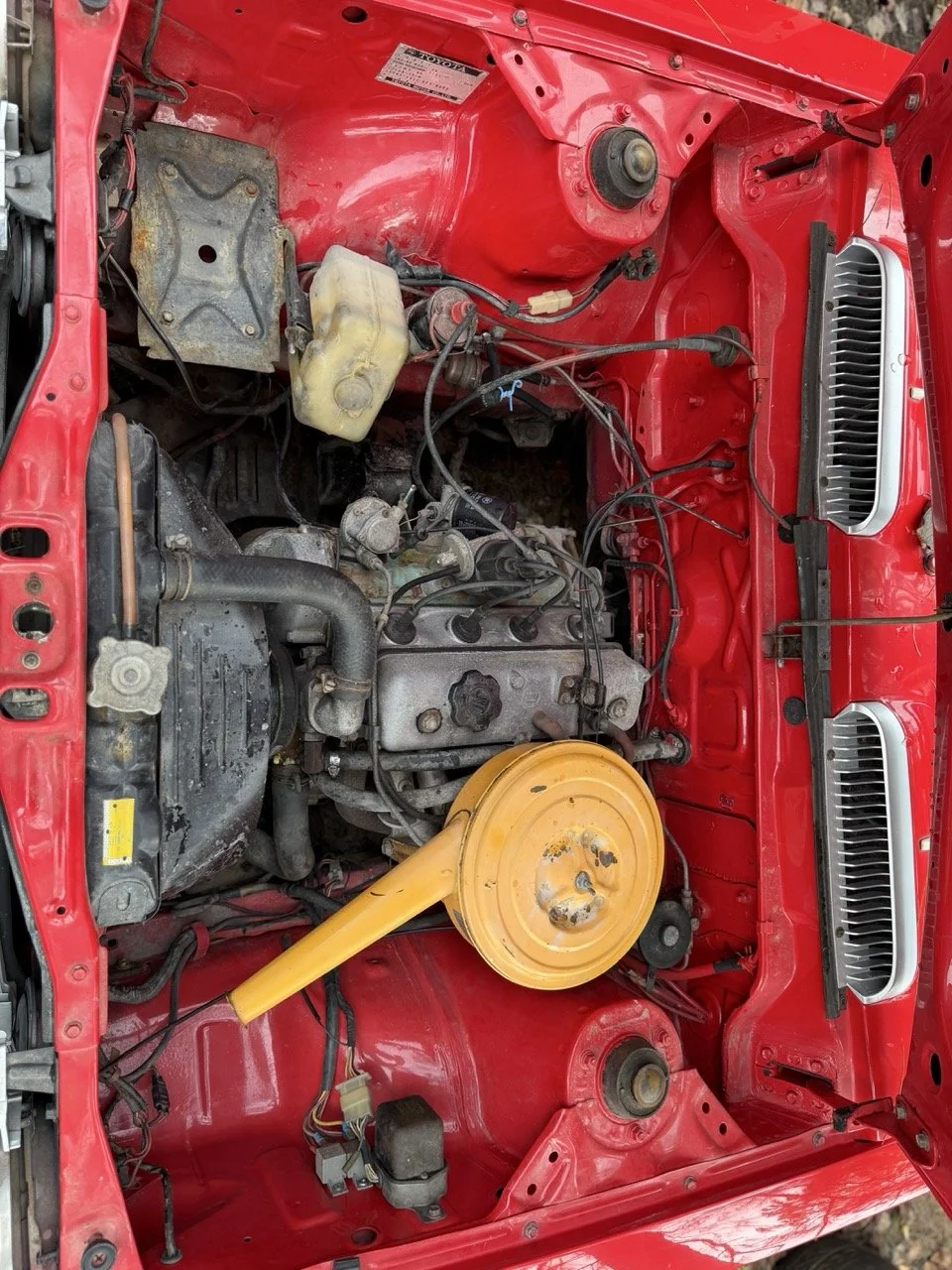 IMG_4940 – grande.jpeg