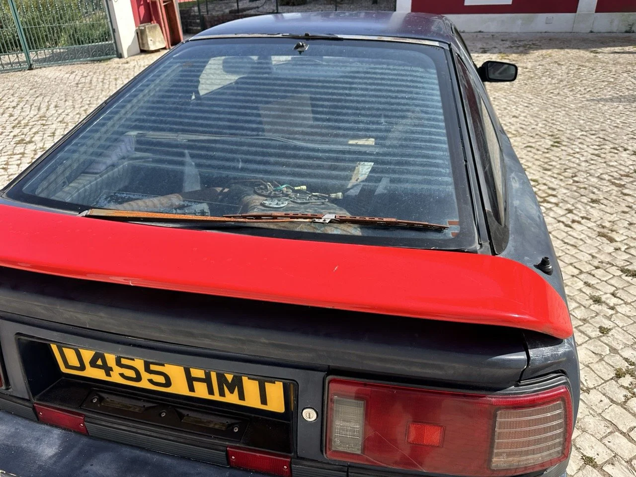 IMG_7228 – grande.jpeg