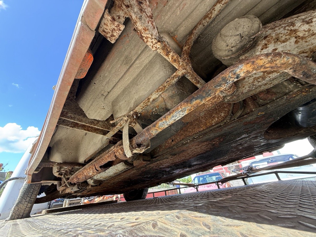 IMG_9055 – grande.jpeg