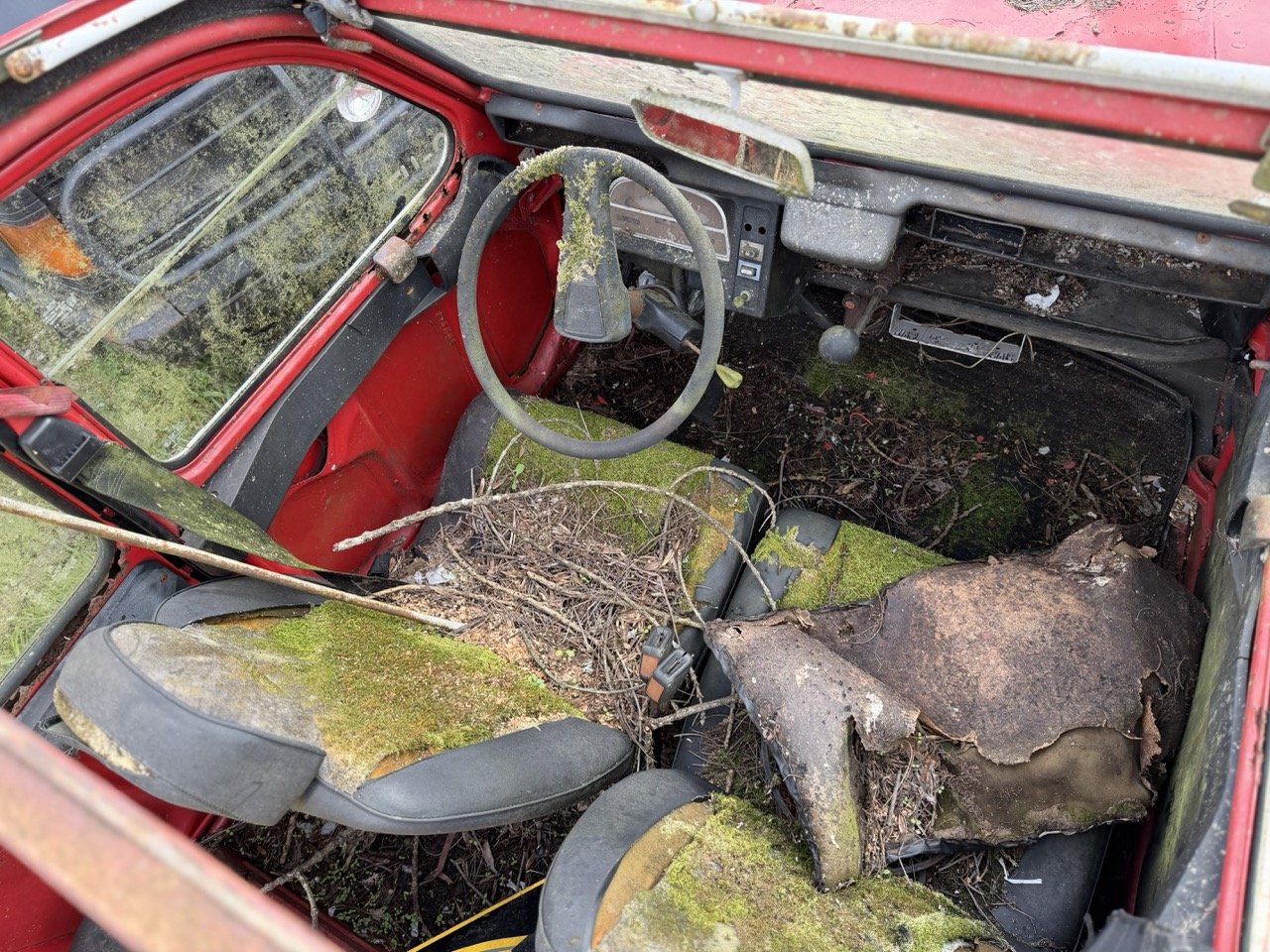 IMG_3852 – grande.jpeg