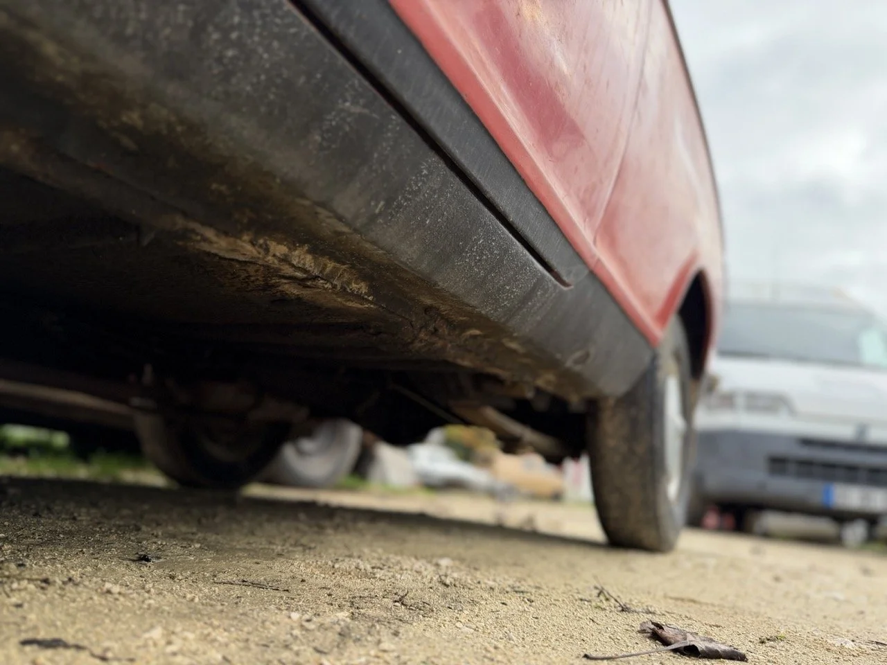 IMG_4962 – grande.jpeg