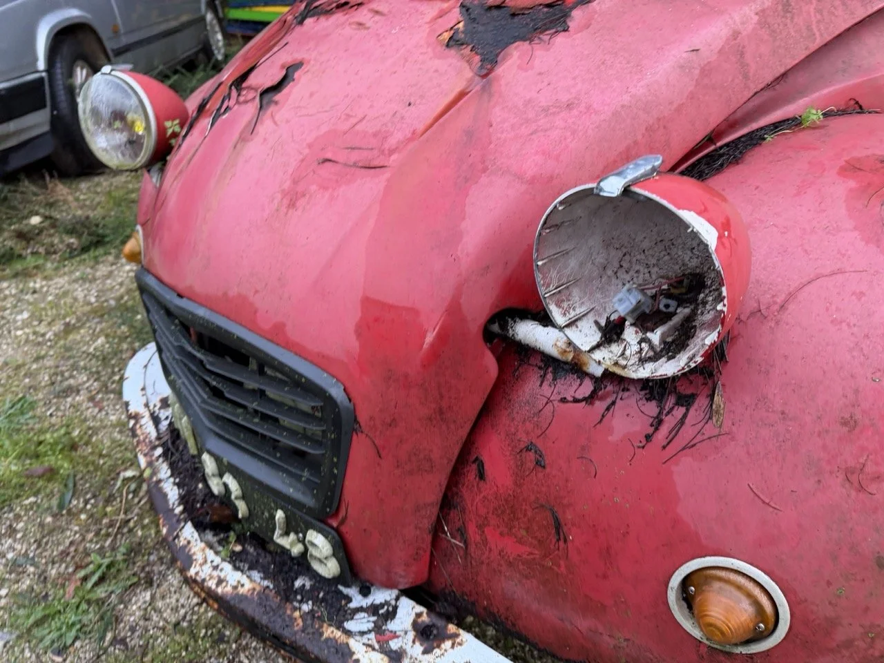 IMG_5493 – grande.jpeg