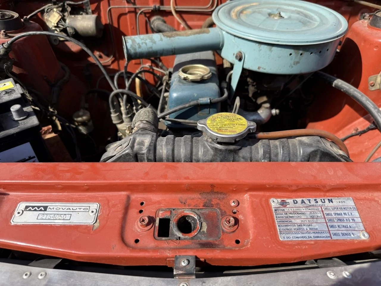 IMG_3613 – grande.jpeg