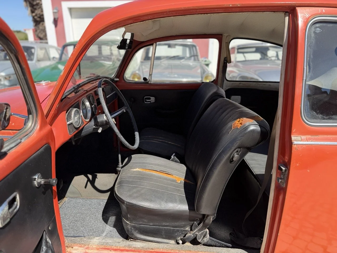 IMG_7519 – grande.jpeg