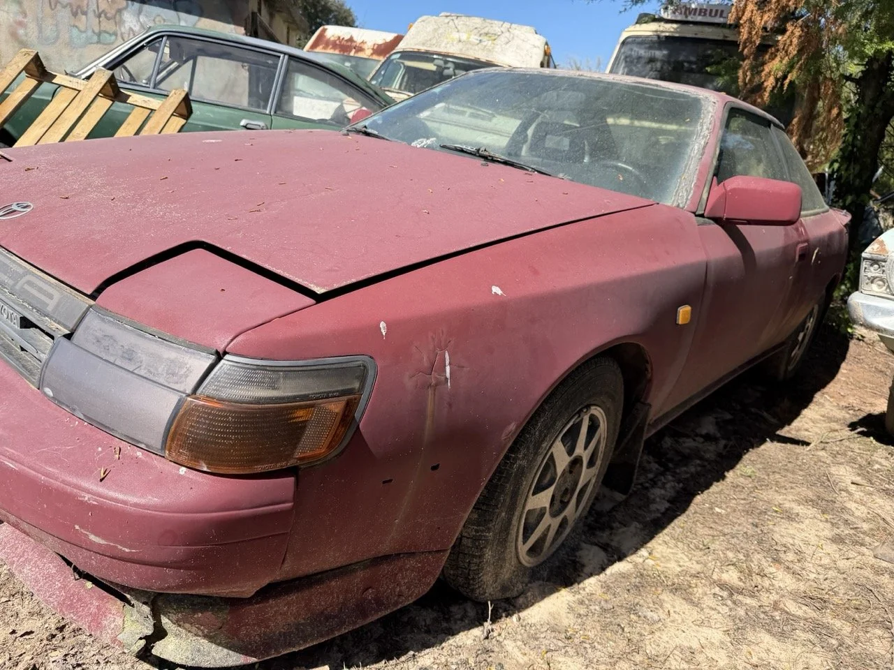 IMG_7632 – grande.jpeg