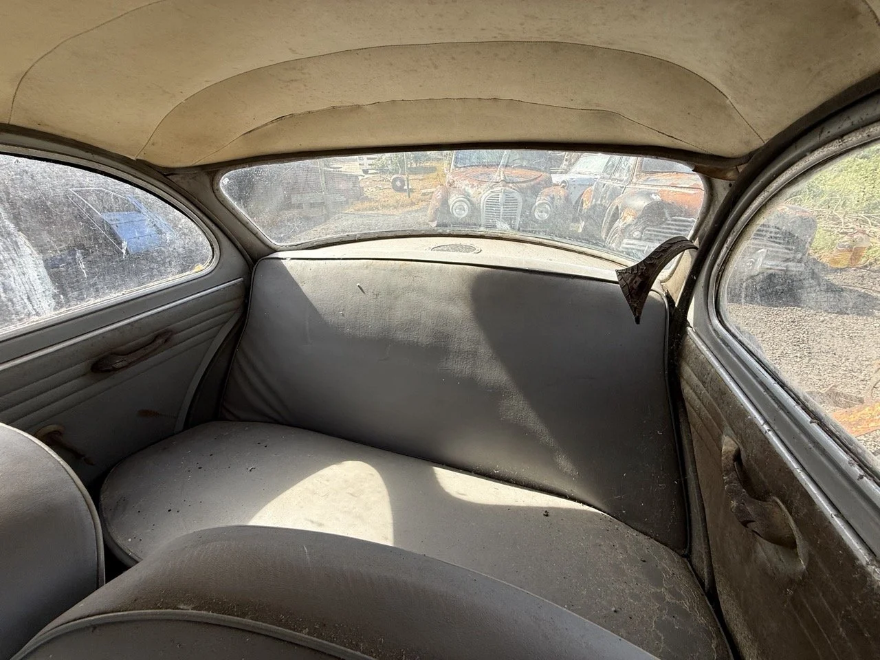 IMG_0350 – grande.jpeg