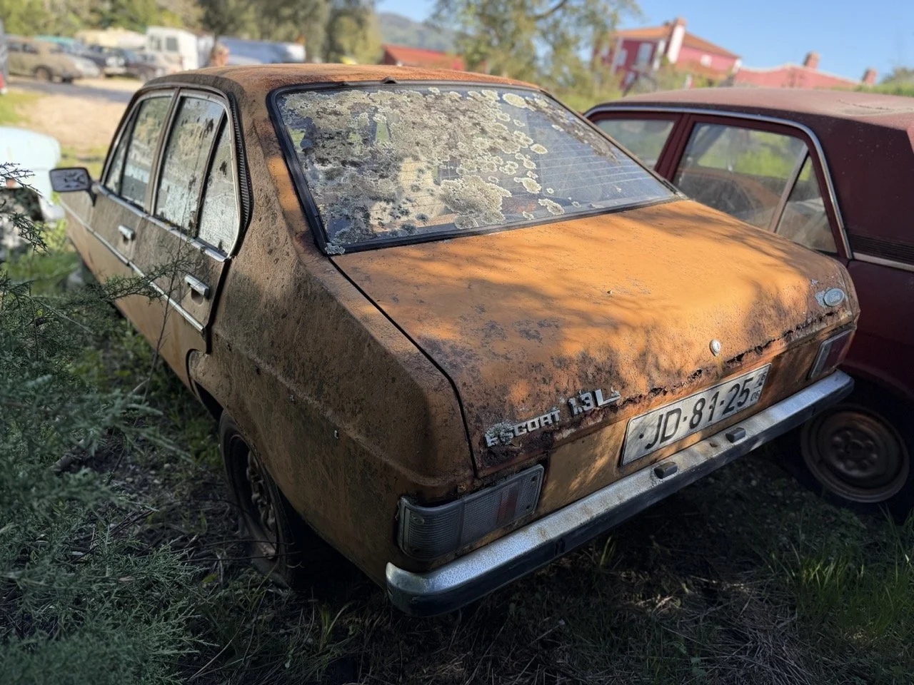 IMG_7695 – grande.jpeg