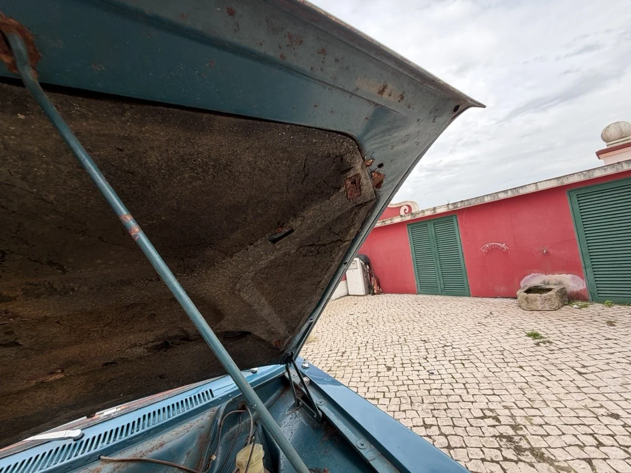 IMG_6305 – grande.jpeg