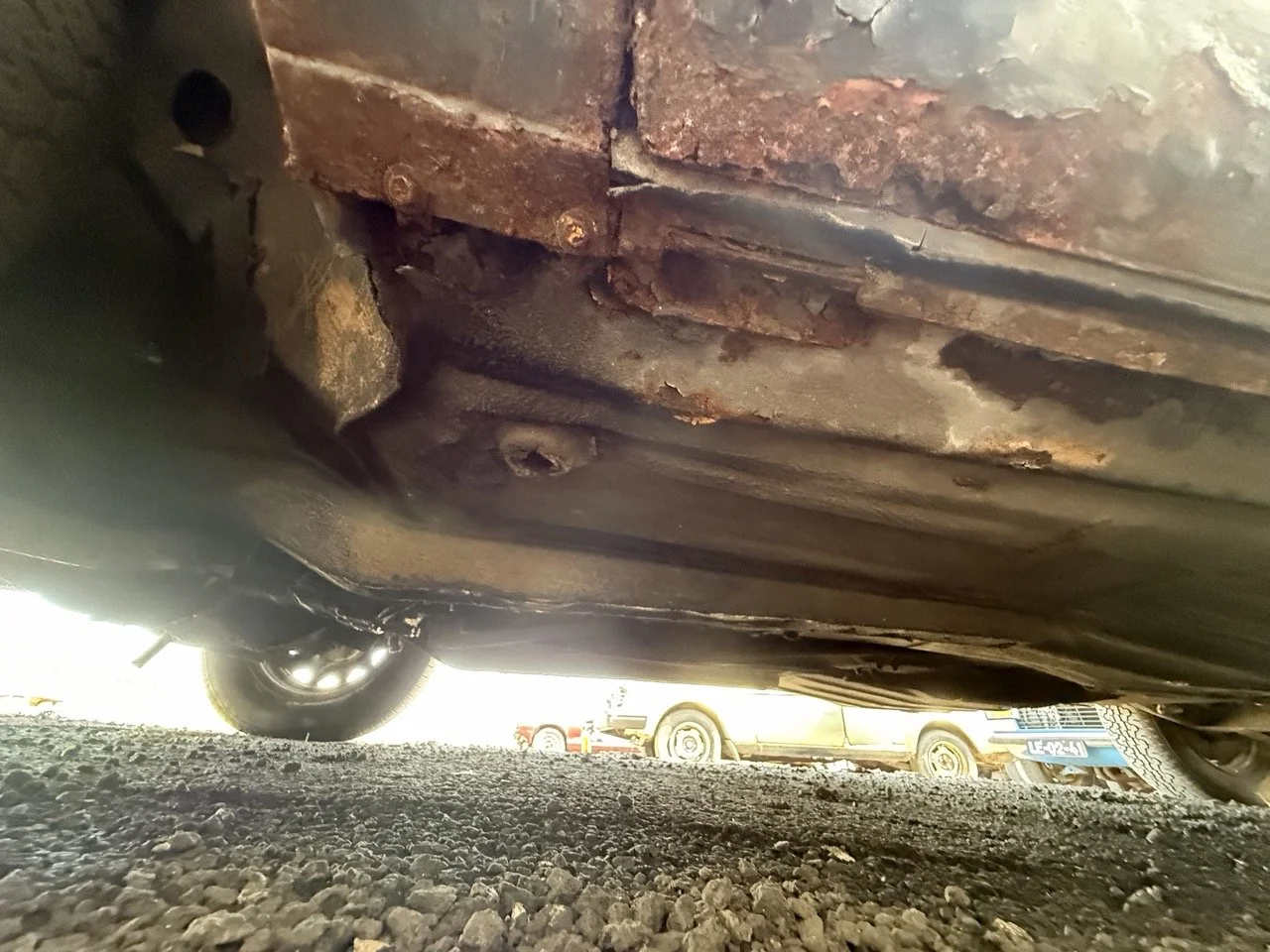 IMG_0618 – grande.jpeg