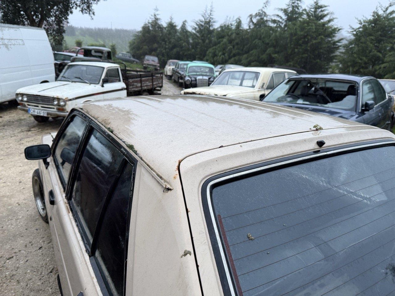 IMG_0198 – grande.jpeg