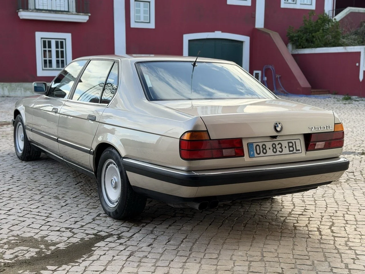 IMG_6886 2 – grande.jpeg