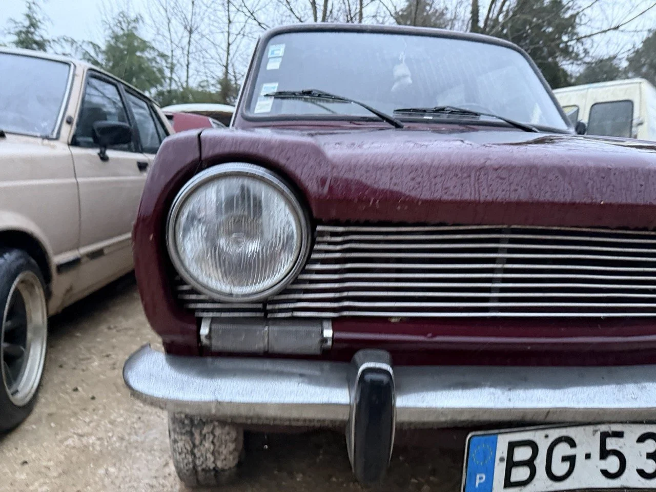 IMG_0296 – grande.jpeg