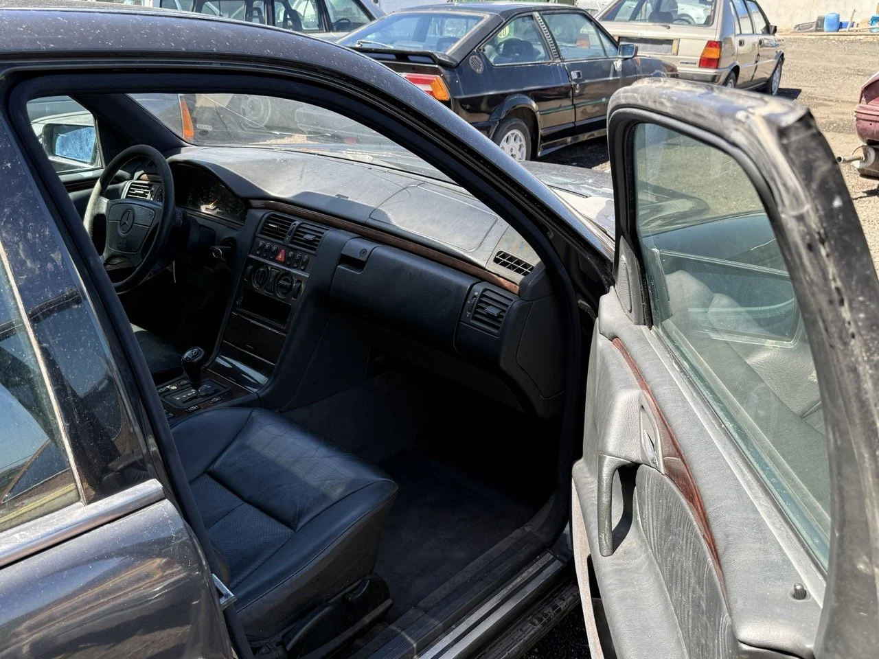 IMG_1753 – grande.jpeg