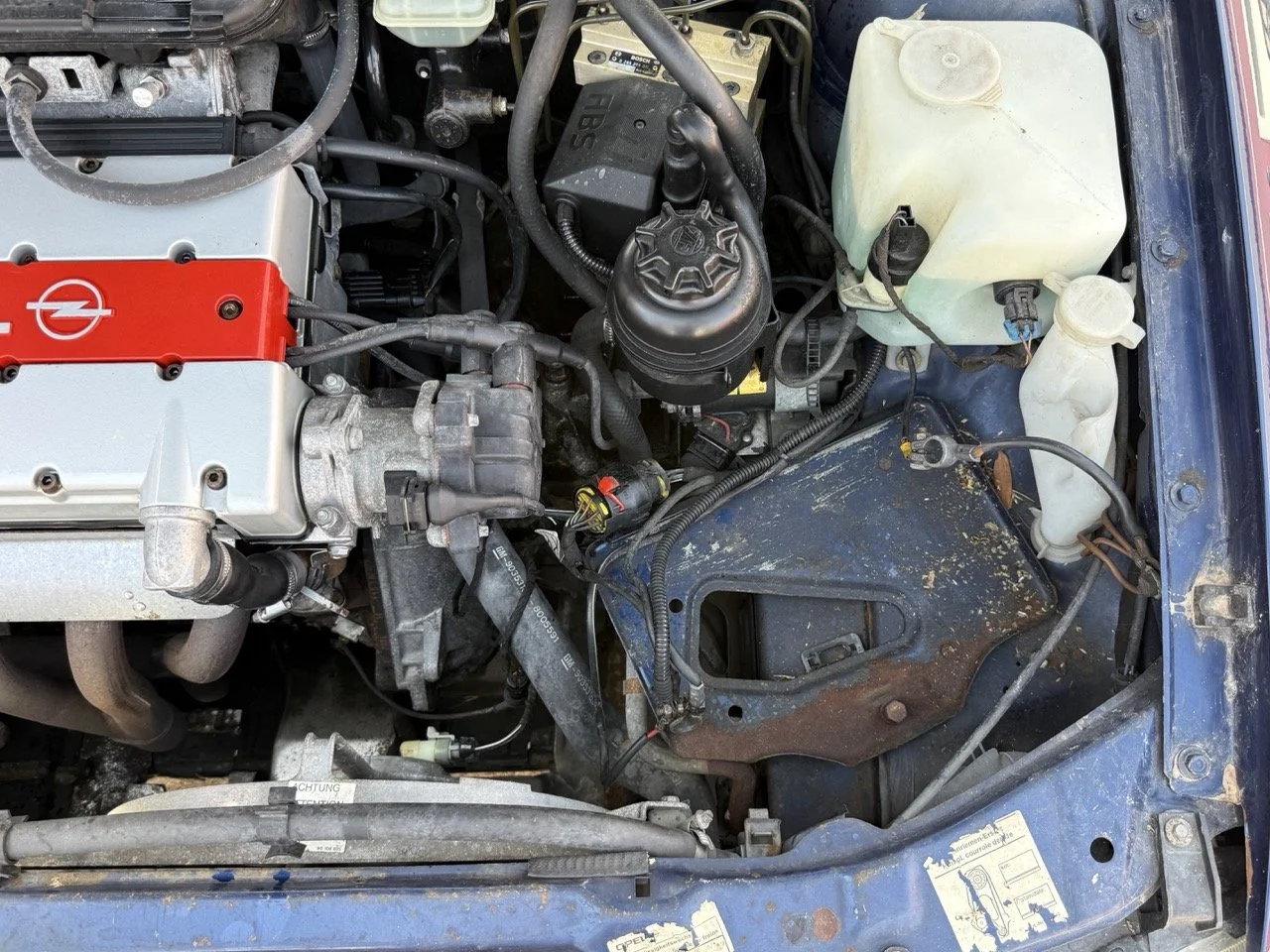 IMG_2419 – grande.jpeg