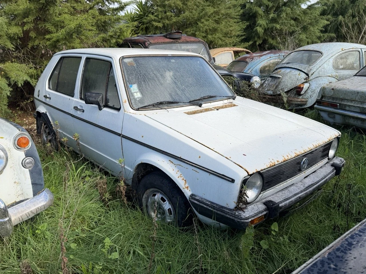 IMG_5172 – grande.jpeg