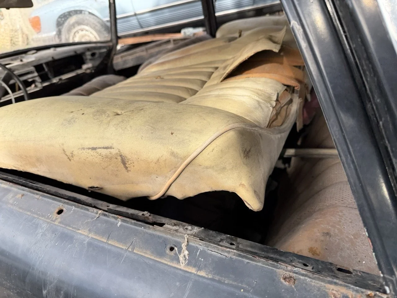 IMG_5237 – grande.jpeg