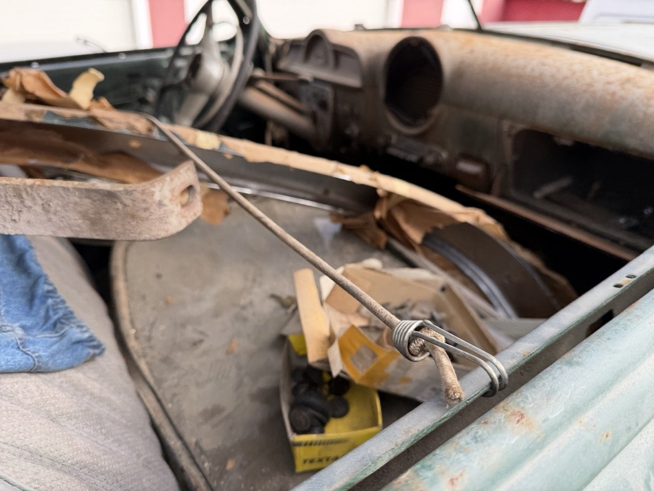 IMG_1792 – grande.jpeg