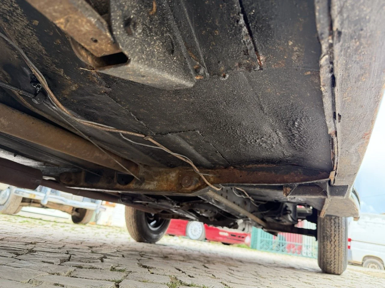 IMG_9893 – grande.jpeg