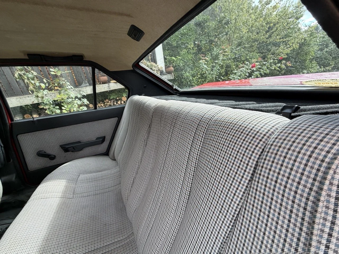 IMG_3281 – grande.jpeg