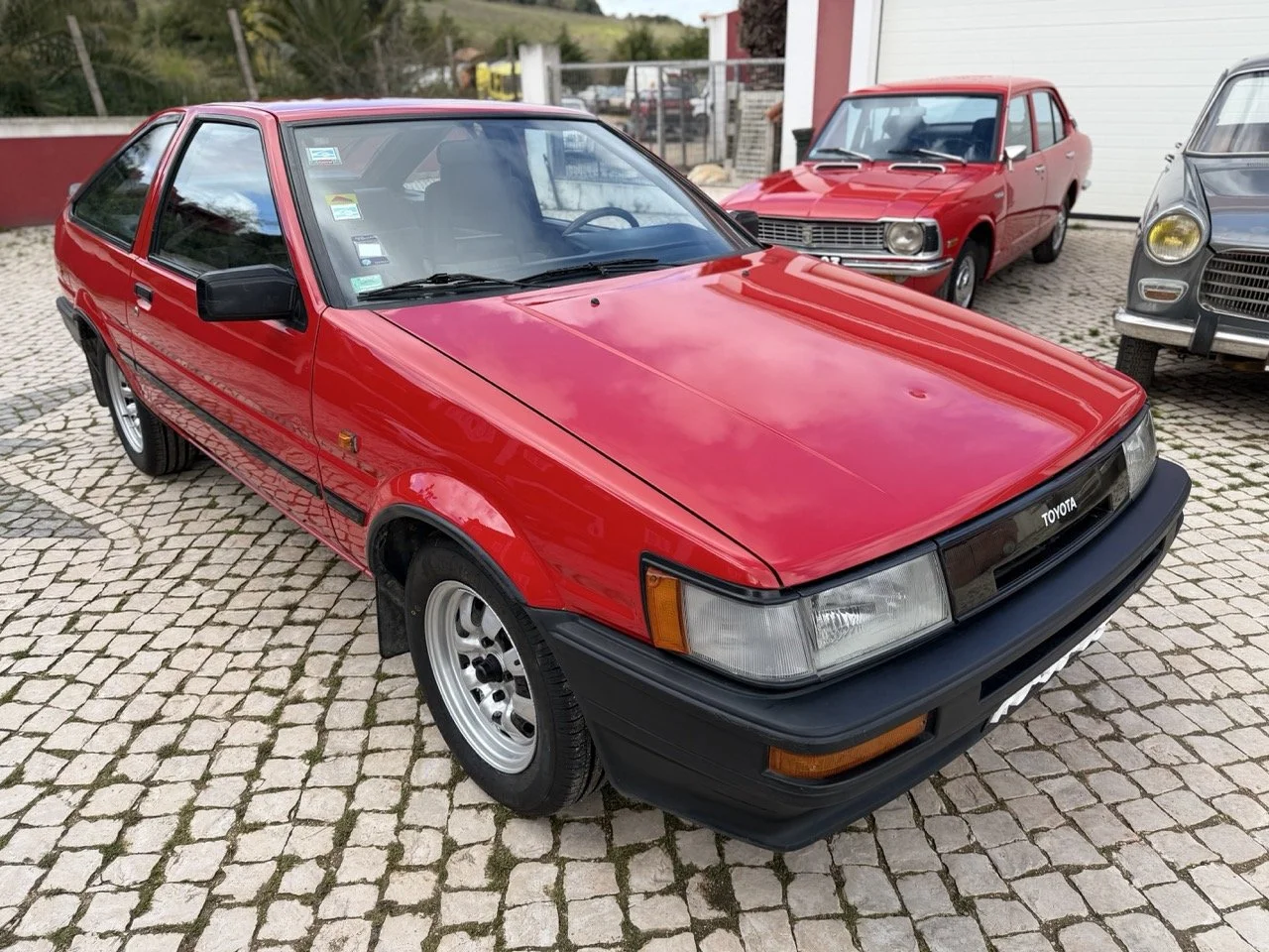 IMG_2411 – grande.jpeg