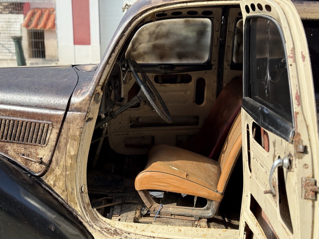 IMG_3682 – grande.jpeg