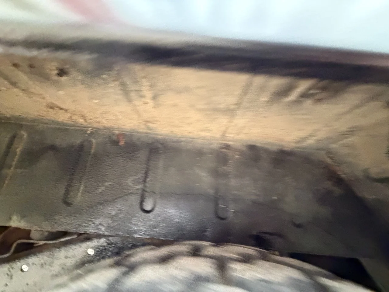 IMG_6527 – grande.jpeg