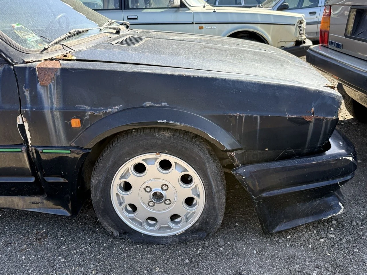 IMG_2920 – grande.jpeg