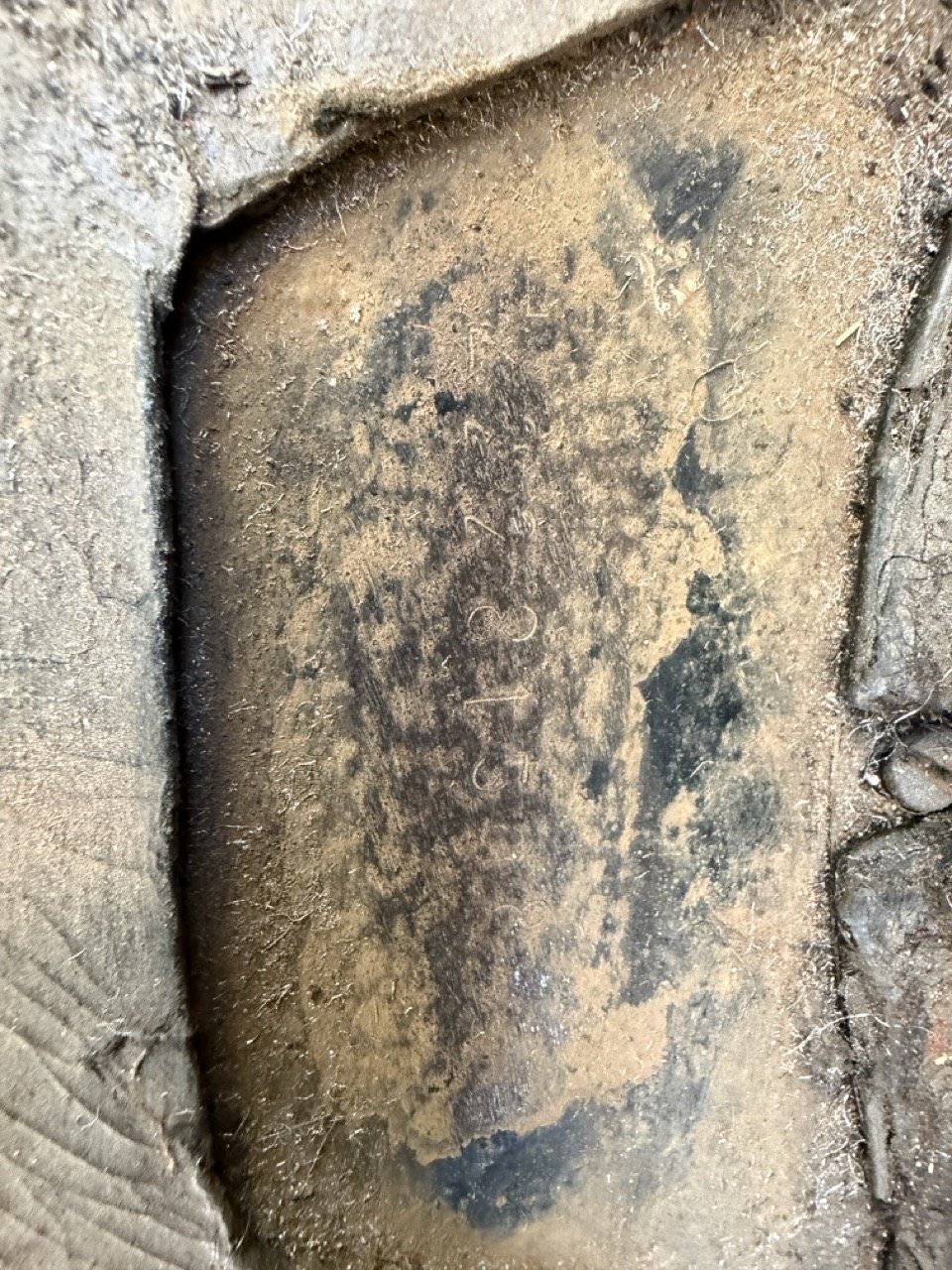 IMG_1859 – grande.jpeg