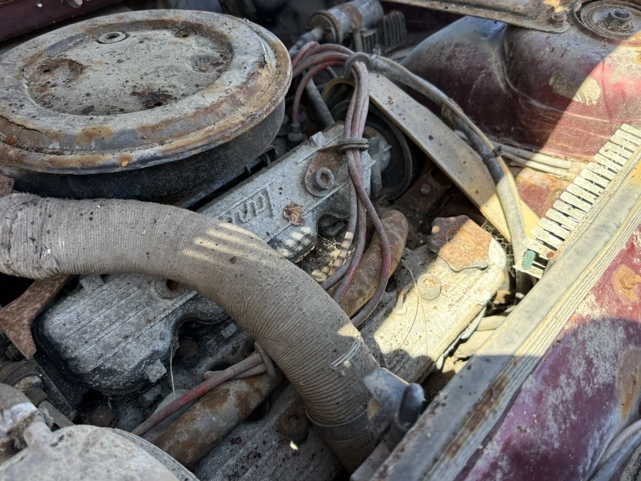 IMG_0928 – grande.jpeg