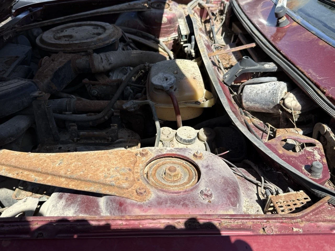 IMG_0923 – grande.jpeg