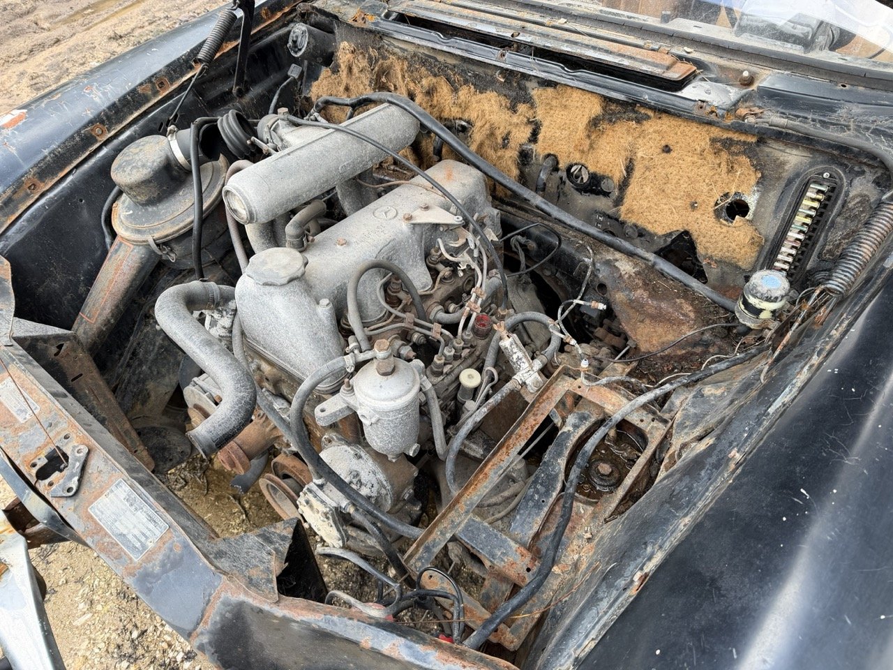 IMG_1947 – grande.jpeg