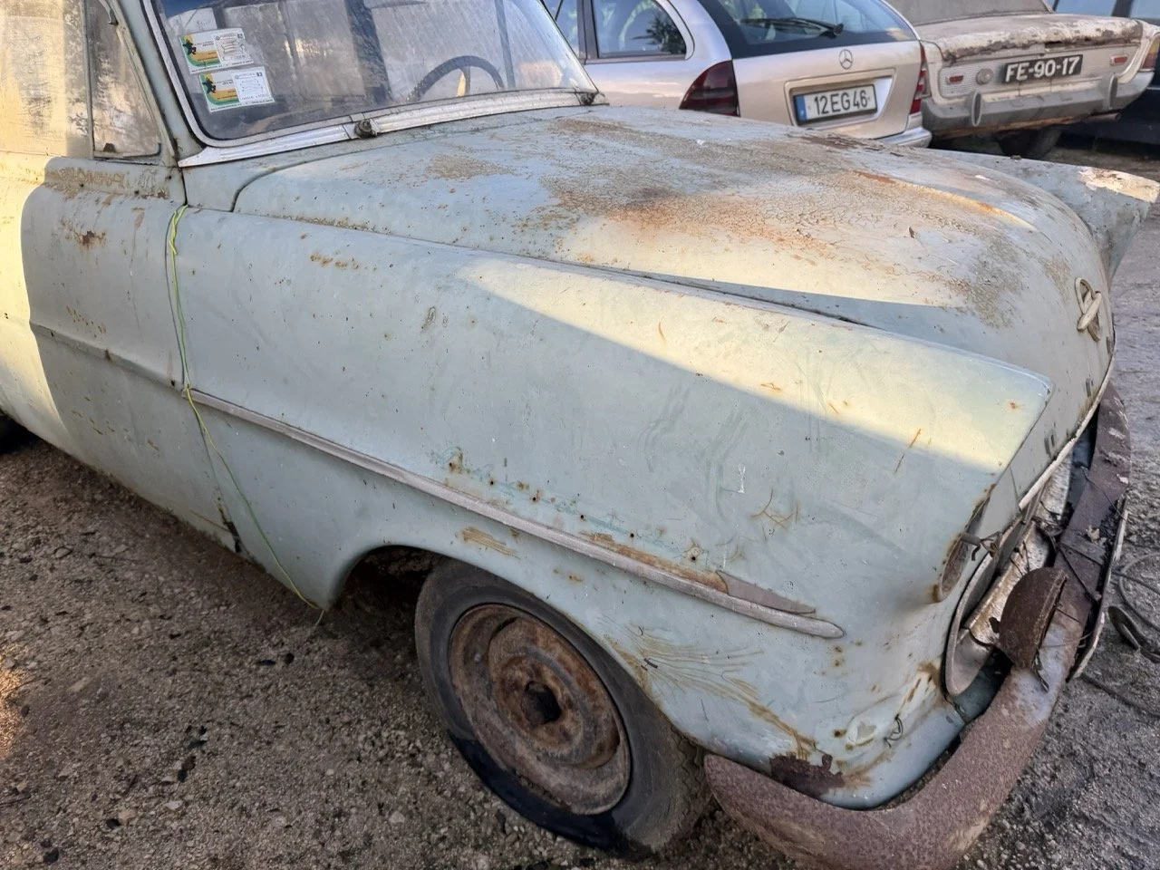 IMG_4061 – grande.jpeg