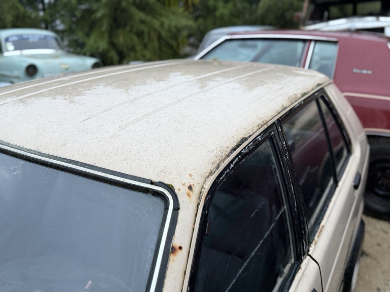 IMG_0194 – grande.jpeg