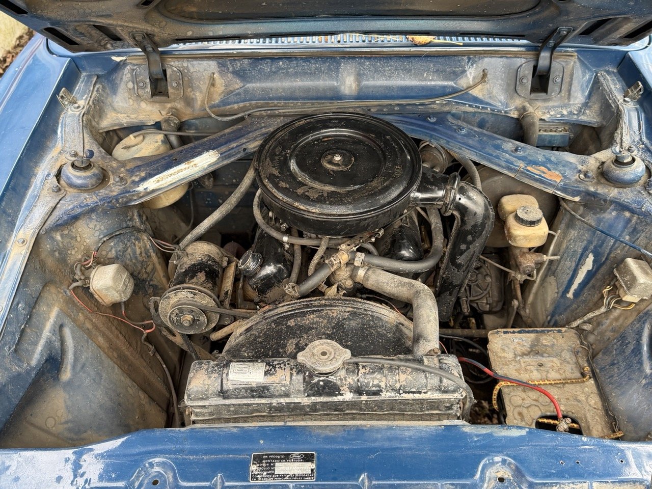 IMG_4930 – grande.jpeg