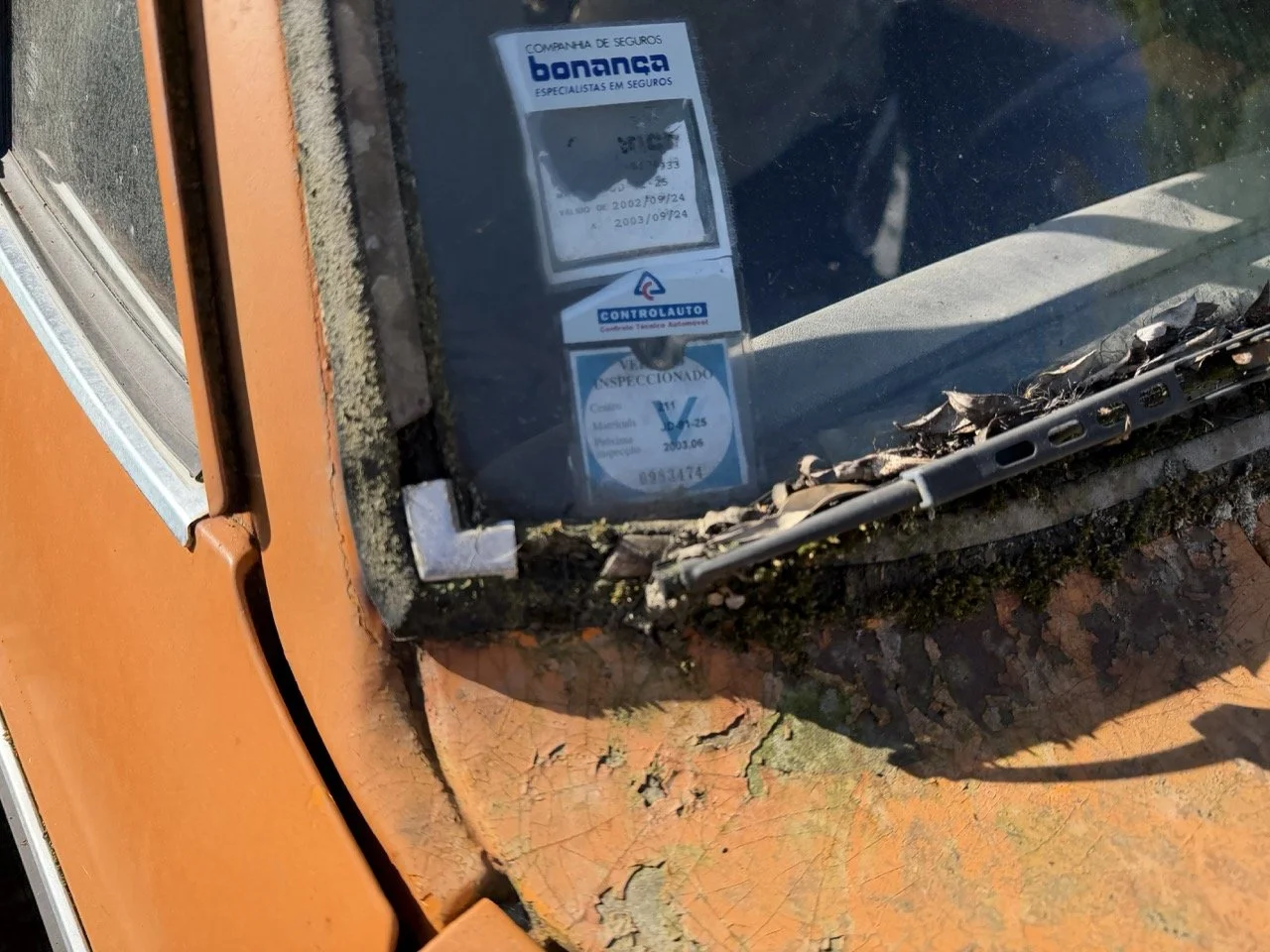 IMG_7712 – grande.jpeg