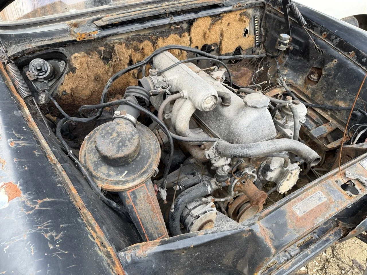 IMG_1948 – grande.jpeg