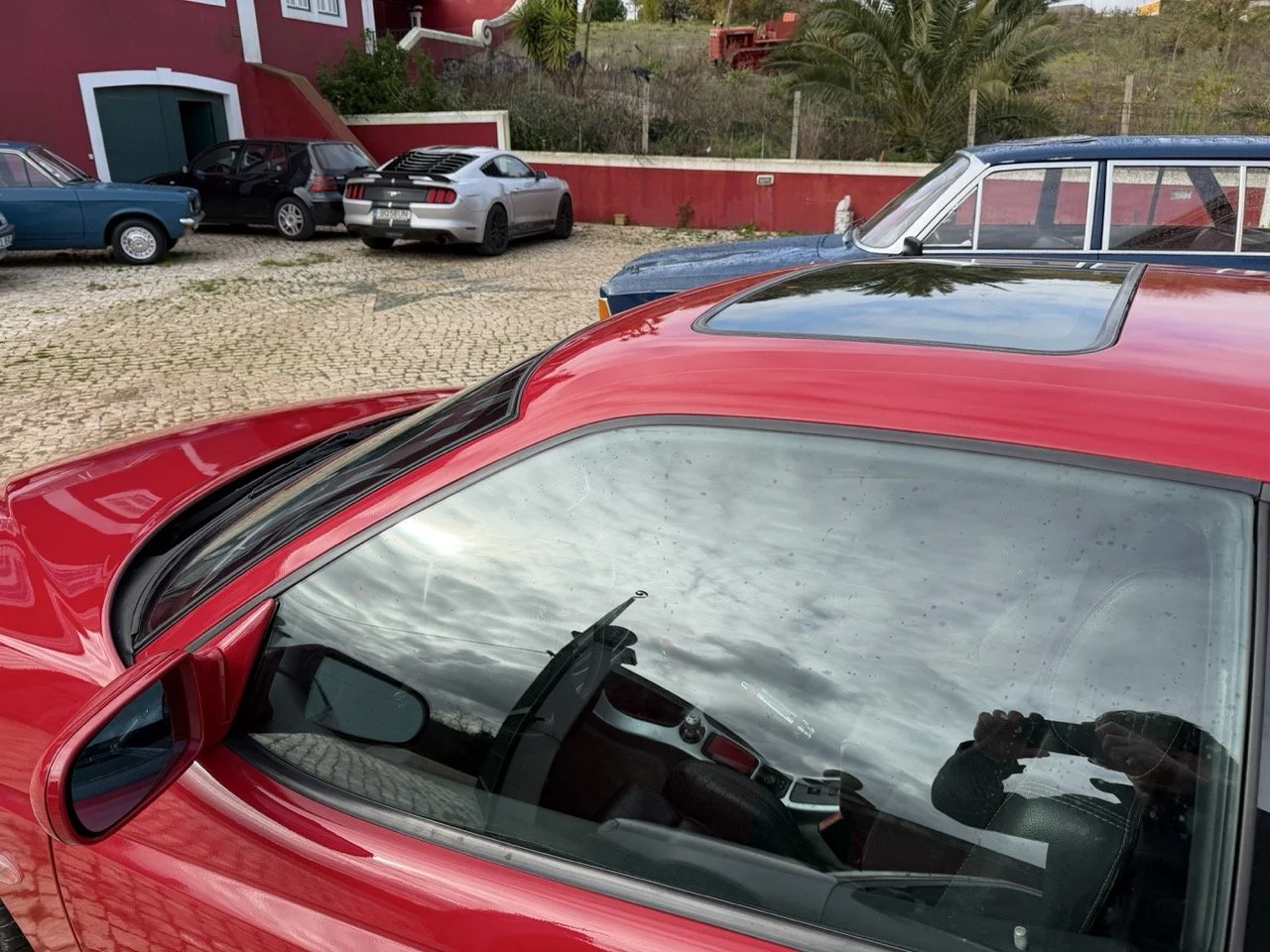 IMG_2301 – grande.jpeg