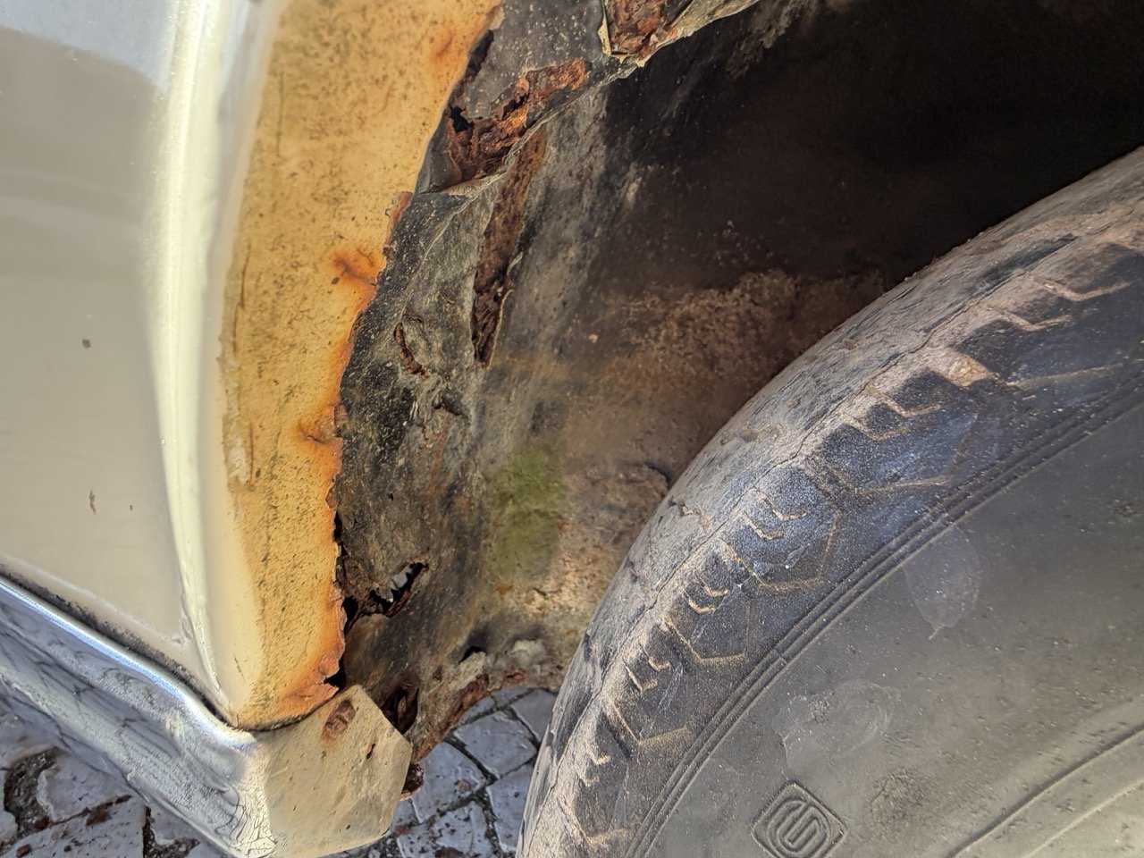 IMG_7078 – grande.jpeg