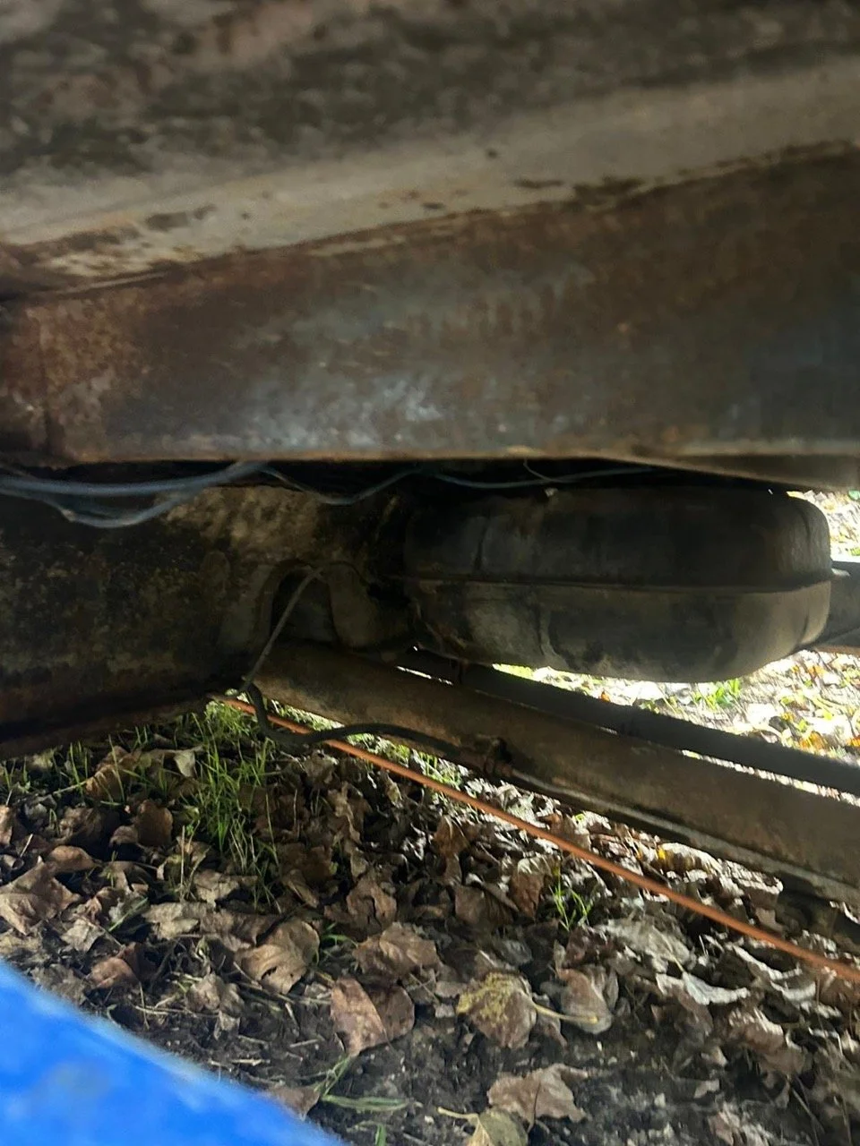 168f9532-d30c-4cd3-8e35-5cd9a8a26991 – grande.jpeg