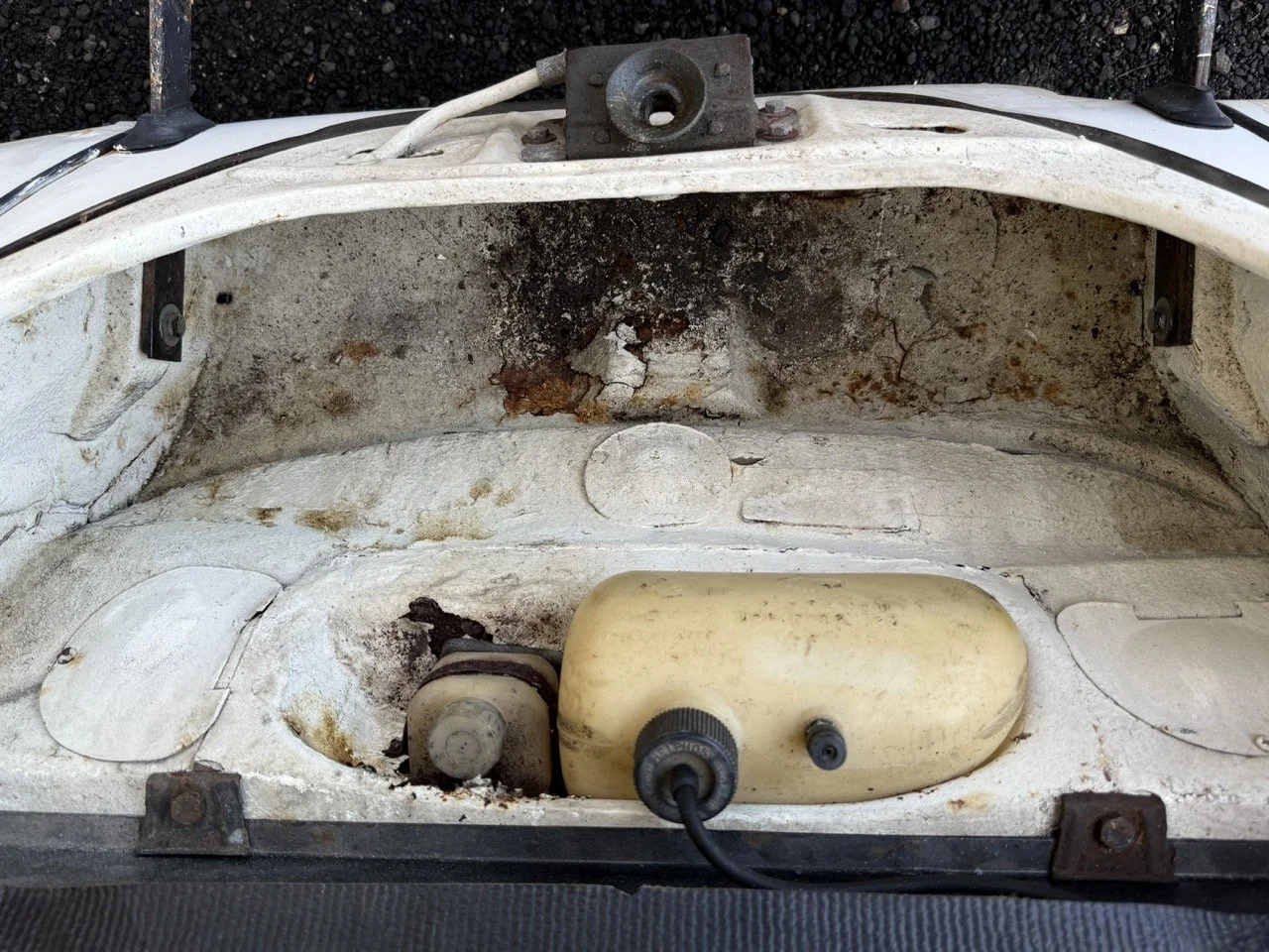 IMG_0715 – grande.jpeg