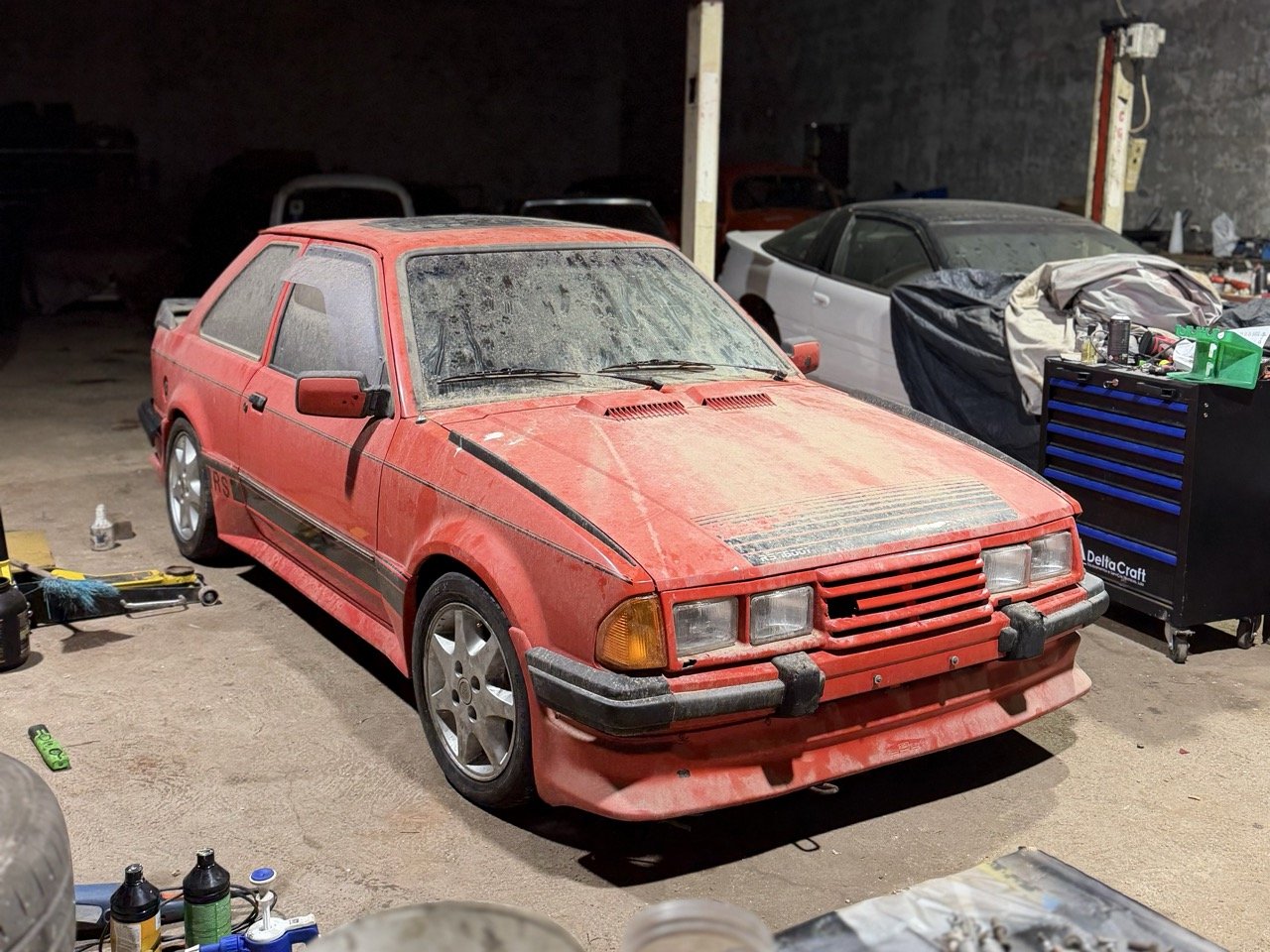 IMG_4979 – grande.jpeg